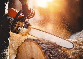 Chainsaw. Close-up of woodcutter sawing chain saw in motion, sawdust fly to sides.